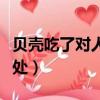 貝殼吃了對人有什么好處（貝殼吃了有什么好處）
