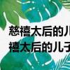 慈禧太后的兒子得了傳染病后是什么樣的（慈禧太后的兒子）