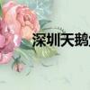 深圳天鵝堡拍鳥攻略（深圳天鵝堡）