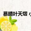 慕晴葉天熠 小說（慕晴葉天熠小說大結局）