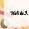 鋸齒舌頭是什么原因造成的（鋸齒）