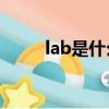 lab是什么意思（cab是什么意思）