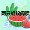兩只螞蟻閱讀理解答案（兩只螞蟻閱讀答案）