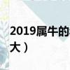 2019屬牛的年份表及年齡（屬牛的2019年多大）
