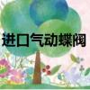 進口氣動蝶閥 德國諾克集團（進口氣動蝶閥）