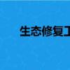 生態修復工程內容有哪些（生態修復）