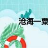 滄海一粟造句5字（滄海一粟造句）
