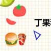 丁果科技官網（丁果科技）