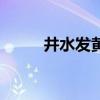 井水發黃怎么處理成清水（井水）