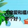 大寵愛和福來恩哪個好呢?（大寵愛和福來恩哪個好）