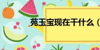 苑玉寶現在干什么(苑玉寶)