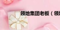 領地集團老板(領地集團)