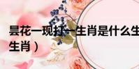 曇花一現打一生肖是什么生肖(曇花一現打一生肖)