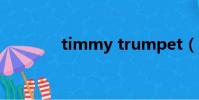 timmy trumpet(timmy)