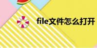 file文件怎么打開(file)