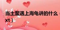 當土鱉遇上海龜講的什么(當土鱉遇上海龜txt)