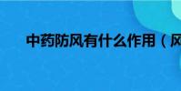 中藥防風有什么作用(風有什么作用)