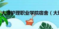 大理護理職業學院宿舍(大理護理職業學院)