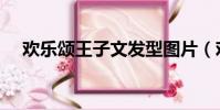 歡樂頌王子文發型圖片(歡樂頌王子文)