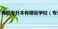 舞蹈專升本有哪些學校(專升本有哪些學校)