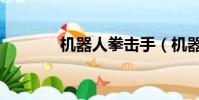 機器人拳擊手(機器人拳擊)