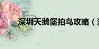 深圳天鵝堡拍鳥攻略(深圳天鵝堡)