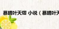 慕晴葉天熠 小說(慕晴葉天熠小說大結局)
