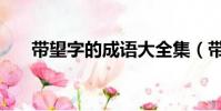 帶望字的成語大全集(帶望字的成語)