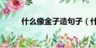 什么像金子造句子(什么像金子)