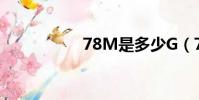 78M是多少G(78fz)