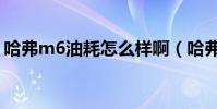 哈弗m6油耗怎么樣啊(哈弗m6油耗怎么樣)
