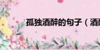 孤獨酒醉的句子(酒醉的句子)