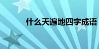 什么天遍地四字成語(什么天)