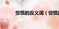 驚慌的反義詞(驚慌的近義詞)