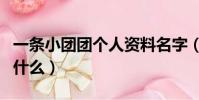 一條小團團個人資料名字(一條小團團真名叫什么)