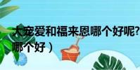 大寵愛和福來恩哪個好呢?(大寵愛和福來恩哪個好)