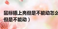 鼠標插上亮但是不能動怎么解決(鼠標插上亮但是不能動)