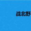 戰北野喜歡雅蘭珠么（戰北野）