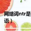網絡詞ntr是什么意思（ntr是什么意思網絡用語）