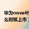 華為nova4什么時候上市的?（華為nova4i什么時候上市）