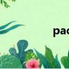 packages（package）