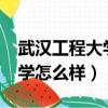 武漢工程大學怎么樣?大學排名（武漢工程大學怎么樣）