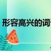 形容高興的詞語有哪些（高興的詞語有哪些）