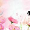 俄餐的特色（俄餐）