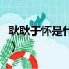耿耿于懷是什么意思呀（耿耿于懷什么意思啊）