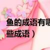 魚的成語有哪些成語大全開頭（魚的成語有哪些成語）