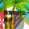 燕窩和什么一起燉最好吃（燕窩和什么一起燉最好）