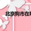 北京狗市在哪里2023（北京狗市在哪里）