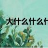大什么什么什么的詞語（大什么什么什么）