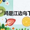鴻是江邊鳥下一句話是什么情話（鴻是江邊鳥）
